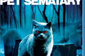 国产不卡高清视频,畅享不卡观影体验