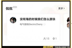 国产开房,揭秘中国住宿业的创新与变革